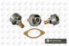BGA CT5439K Thermostat, coolant